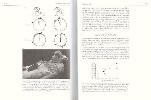 biological science 2nd edition freeman 2005 calendar